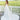 Erin Wedding Dress Morilee