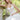 Pierette, Style 2044Pierette, Style 2044