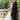 Sofia, Style 2139Sofia, Style 2139