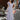 Bridesmaids 21581