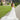 Desdemona Wedding Dress Morilee