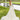 Drucilla Wedding Dress Morilee