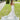 Donatella Wedding Dress Morilee