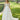 Dani Wedding Dress Morilee
