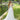 Dani Wedding Dress Morilee