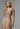 Stretch Mesh Special Occasion Dress with Beaded, Metallic Lace Appliqués Morilee