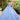 Crystal Beaded Lace Appliqués on a Tulle Over Chantilly Lace Ballgown Morilee