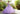 A Morilee Vizcaya Quinceañera Dress. Available in purple, pink, and gold.