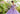 A Morilee Vizcaya Quinceañera Dress. Available in purple, pink, and gold.