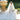 Grazia Wedding Dress Morilee