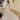 Temperance Wedding Dress Morilee