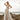 Melinda Wedding Dress Madeline Gardner
