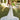 Francesca Wedding Dress Morilee