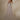 Maeve Wedding Dress Morilee