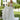 Petula Wedding Dress Morilee