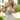 Petula Wedding Dress Morilee