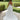 Patrice Wedding Dress Morilee