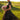 Sarah Wedding Dress Morilee