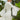 Gwenyth Wedding Dress Madeline Gardner