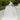 Geraldine Wedding Dress Madeline Gardner