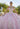 Glitter Embroidered Sparkle Tulle Quinceañera Dress Morilee