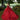 Contrasting Floral Beading Quinceañera Dress with Rhinestone Trim Morilee
