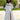 Nadia Wedding Dress Morilee