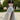 Nadia Wedding Dress Morilee