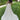 Naveena Wedding Dress Morilee