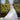 Margot Wedding Dress Madeline Gardner