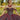 Allover Glitter and Jewel Beaded Quinceañera Dress Morilee