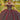 Allover Glitter and Jewel Beaded Quinceañera Dress Morilee