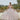 Sparkle Tulle and Floral Embroidered Quinceañera Dress Morilee