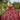 Sparkle Tulle and Floral Embroidered Quinceañera Dress Morilee