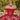 Sparkle Tulle and Floral Embroidered Quinceañera Dress Morilee