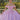 Organza Floral Quinceañera Dress with Crystal Beading Morilee