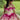 Three-Dimensional Ombré Floral Quinceañera Dress Morilee