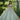 Candy Jewel Beaded Quinceañera Dress Morilee