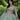 Candy Jewel Beaded Quinceañera Dress Morilee