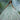 Rhinestone and Three-dimensional Floral Embroidered Quinceañera Dress Morilee