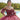 Three-Dimensional Floral Quinceañera Dress with Corset Bodice Morilee