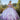 Rhinestone and Crystal Beaded Quinceañera Dress with Sheer Bodice Morilee