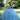 Three-Dimensional Floral Embroidered Quineañera Dress with Jewel Beading Morilee