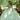 Crystal Beaded Floral Embroidered Quinceañera Dress with Sheer Midriff Morilee