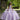 Textured Glitter Net Quinceañera Dress Morilee