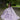 Textured Glitter Net Quinceañera Dress Morilee