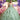 Asymmetrically Tiered Quinceañera Dress with Three Dimensional Florals Morilee