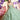 Asymmetrically Tiered Quinceañera Dress with Three Dimensional Florals Morilee