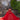 Alessandra Quinceañera Dress Morilee