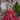 Aveline Quinceañera Dress Morilee
